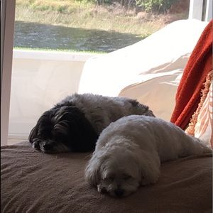 Meet your Posher, Maureen